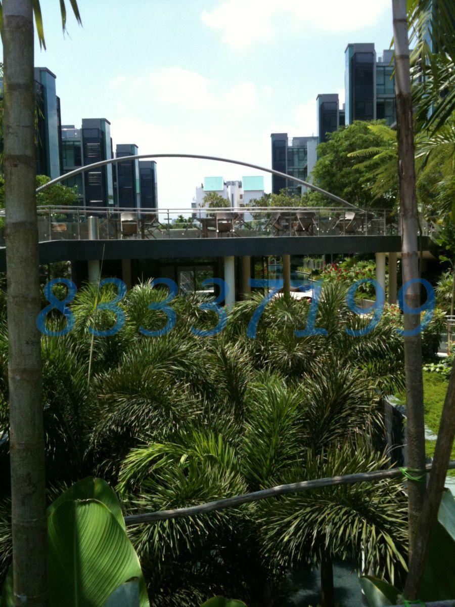 Duchess Residences thumbnail photo